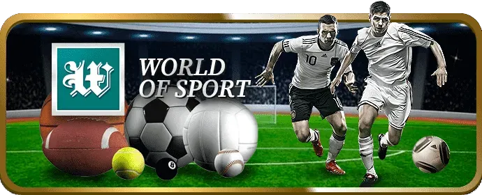 Người hâm mộ phân tích tỷ lệ cược tại 288bet Code
